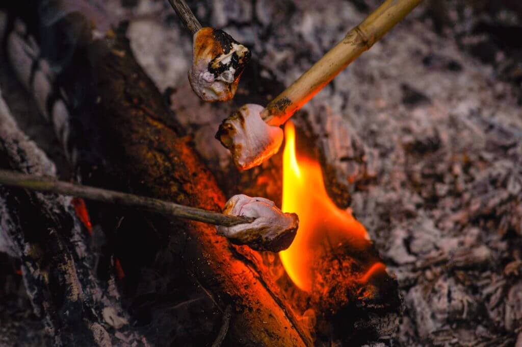 Carne de animal em espetos de madeira sendo assada numa fogueira à noite