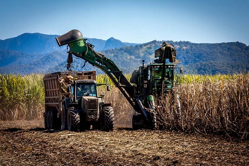 Foto mostrando o céu com nuvens brancas (parte superior), uma máquina cortando e colhendo uma plantação de cana-de-açúcar num campo, enquanto que um caminhão armazena a cana cortada.