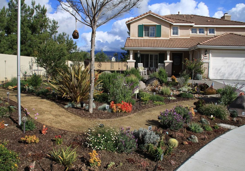 Imagem de um jardim residencial cheio de plantas nativas e paisagismo para ilustrar o projeto de lei de uma cidade americana que quer remunerar quem trocar grama por plantas nativas