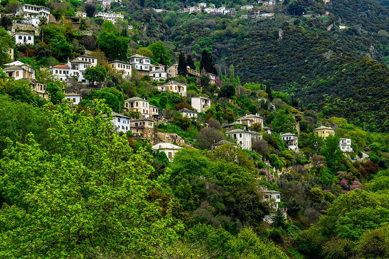 Imagem de uma área residencial no meio de bastante vegetação para ilustrar que estudo revela que viver perto de áreas verdes reduz o risco de AVC