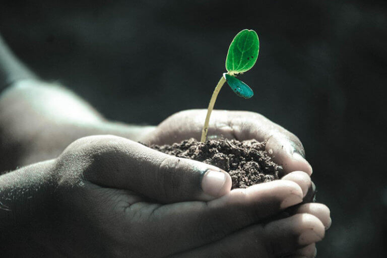 Habilidades para conseguir um green job do futuro