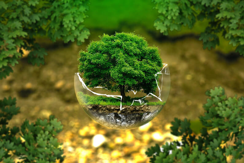 Imagem de uma árvore dentro de uma taça parcialmente quebrada de vidro para ilustrar o post entenda os riscos ESG e porque eles importam.