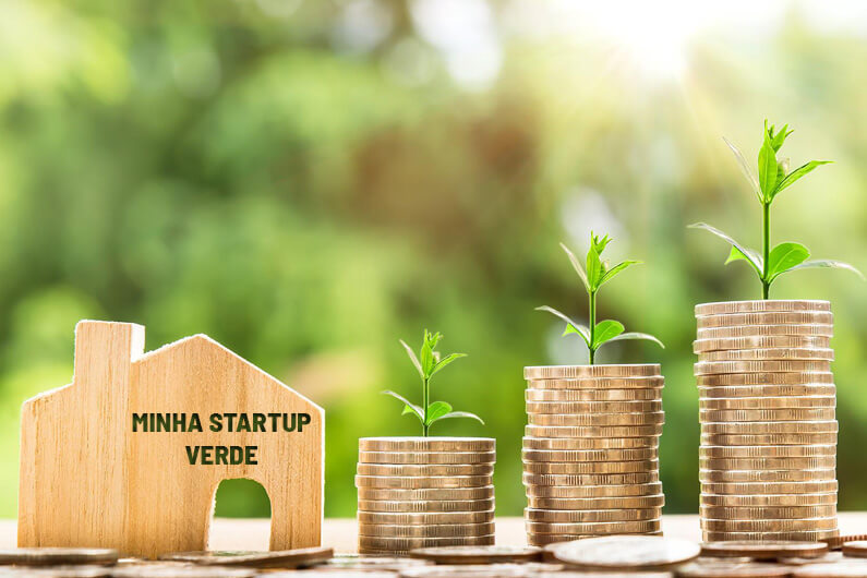 Foto de ilustrativa das três dicas para atrair investidores para sua startup verde. Foto: Nattanan Kanchanaprat | Pixabay