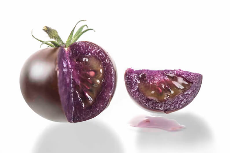 Imagem para ilustrar que um tomate roxo modificado geneticamente é aprovado nos EUA. Foto: Norfolk Plant Sciences/Reprodução