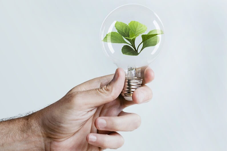 Imagem de uma mão segurando uma lâmpada dentro da qual há uma pequena planta para ilustrar artigo sobre o que é tecnologia sustentável. Foto: RawPixel/Freepik.