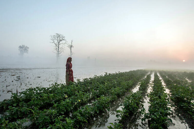 Foto de uma mulher de pé em frente a uma plantação com um pôr do sol ao fundo para ilustrar que a proteção da biodiversidade requer mudança no sistema alimentar. Foto: James Morgan/WWF-US/Reprodução