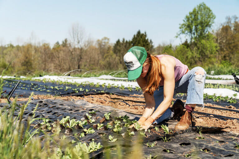 A agricultura regenerativa na visão de três líderes globais do setor