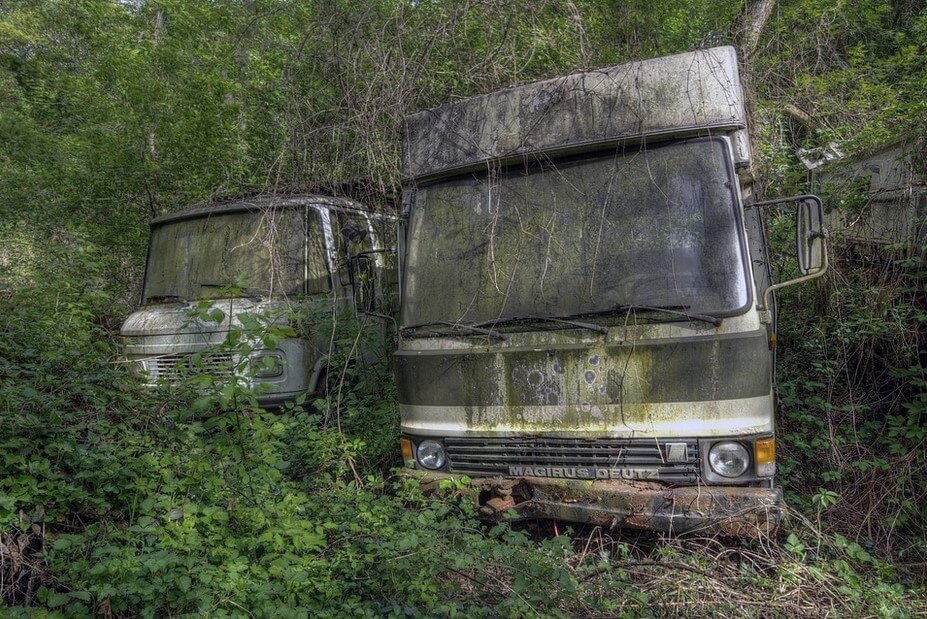 Imagem de dois ônibus velhos, empoeirados e enferrujados, abandonados no meio de uma vegetação extensa serve de ilustração para que o leitor imagine se os humanos desaparecessem amanhã, o que aconteceria com nosso planeta.