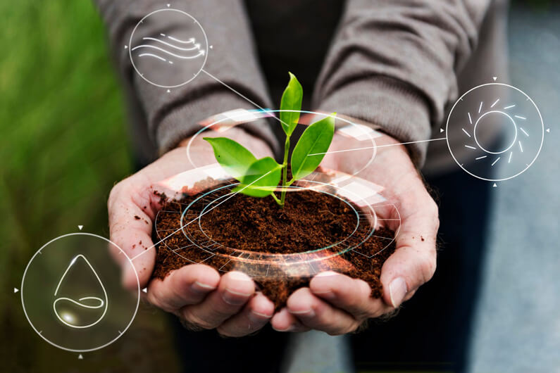 Imagem de duas mãos masculinas, juntas e carregando um pouco de terra com uma pequenina planta, ilustram o artigo sobre como identificar as métricas ESG que são importantes.