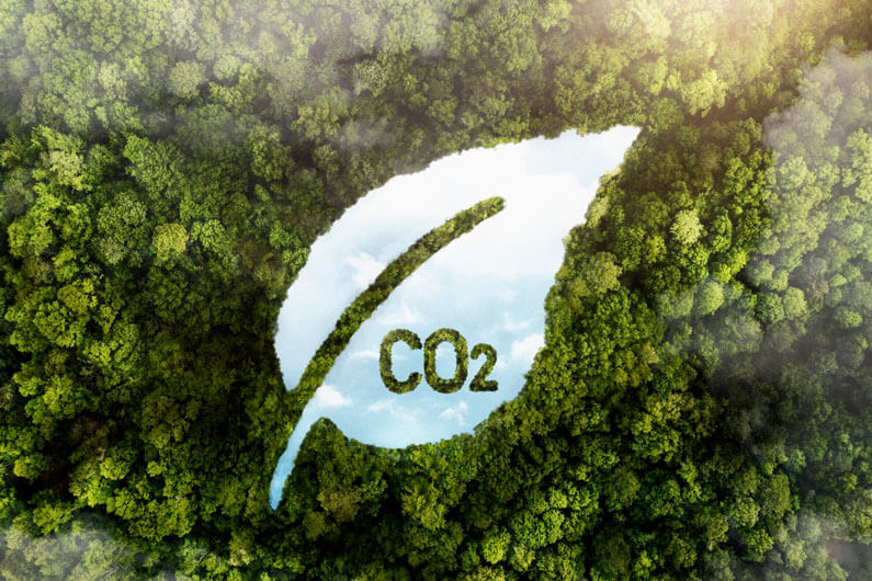 Imagem de uma floresta como pano de fundo e o desenho de uma folha sobre a floresta mostrando o céu e a sigla CO2 ilustram o post cujo título diz que 2024 será um ótimo ano para o setor de captura de carbono.