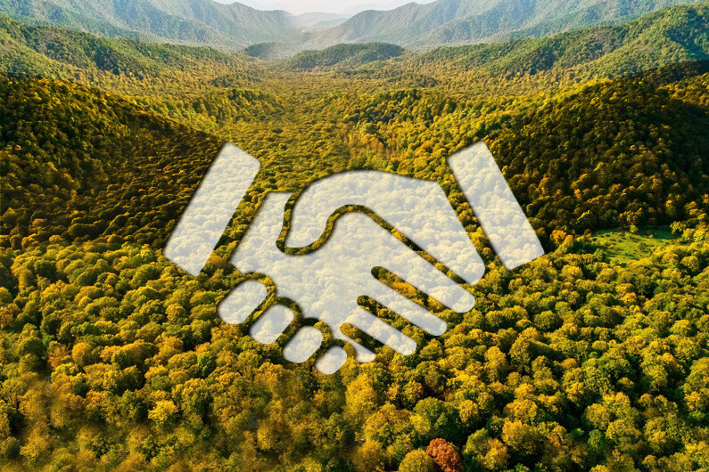 Imagem de duas mãos fazendo um aperto de mãos sobre uma imagem de uma floresta para ilustrar o post cujo título diz que a parceria certa pode amplificar o impacto dos investimentos ESG.