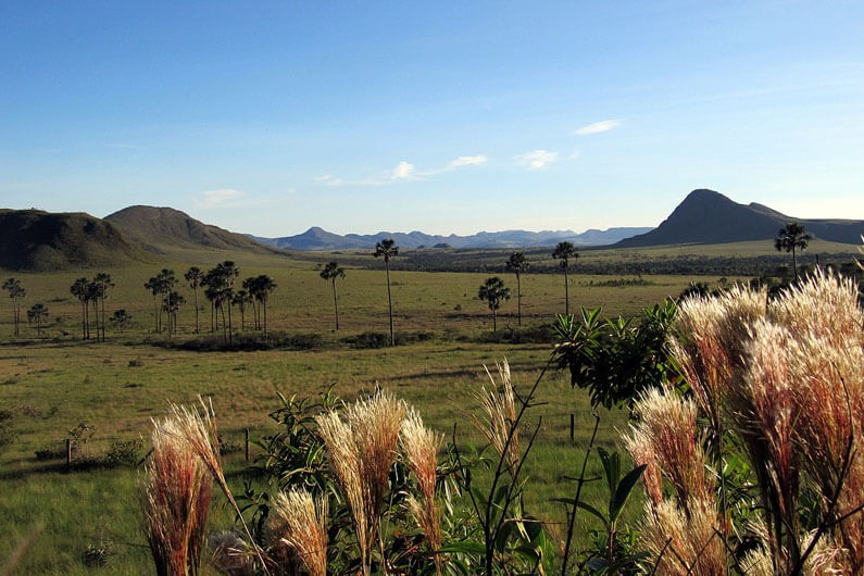 Imagem da Chapada dos Veadeiros, em Goiás, sob um céu azul para ilustrar o post cujo título diz que a proteção ambiental do Cerrado pode gerar US$ 72 Bi para o Brasil.