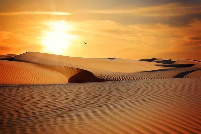 Imagem das dunas de um deserto com o pôr do sol ao fundo ilustram o post que aborda como 'Duna' se tornou um farol para o movimento ambientalista.